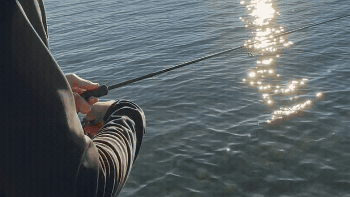 Fisketips
